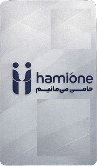 عضویت سازمان‌ها در حامی‌وان